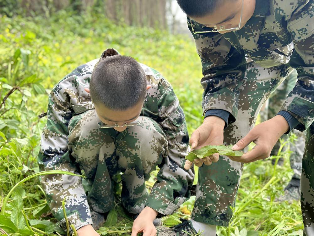 南充靠谱的叛逆期孩子改造学校