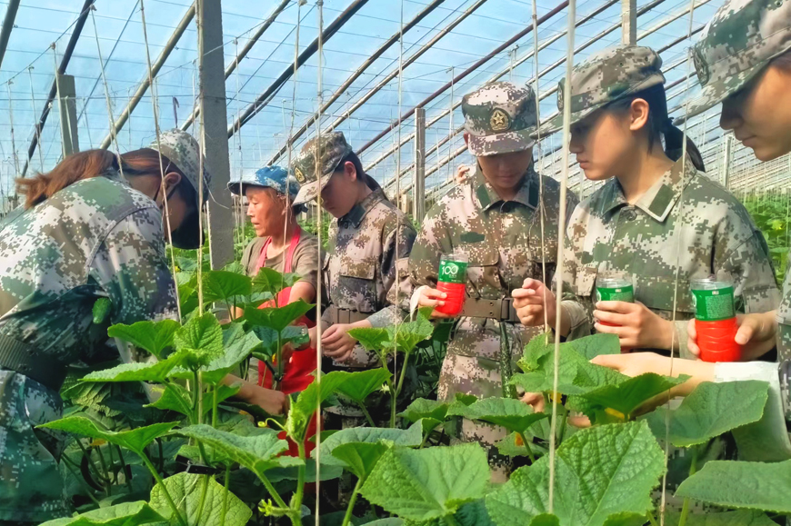 叛逆特训学校