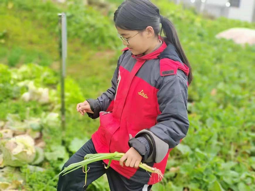 衢州一线孩子叛逆封闭学校