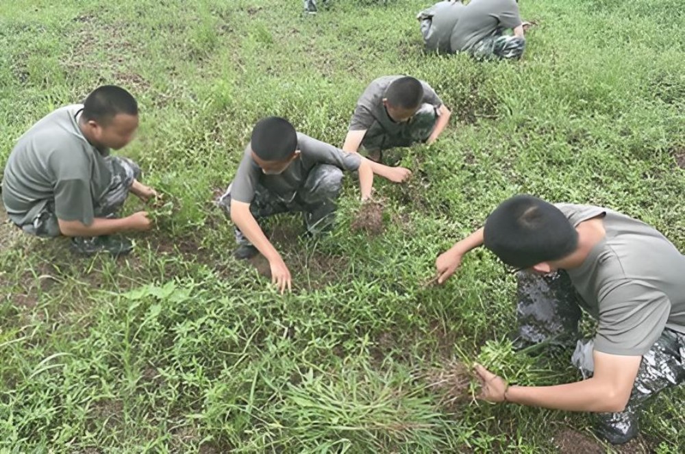 纠正叛逆期孩子行为学校哪家好