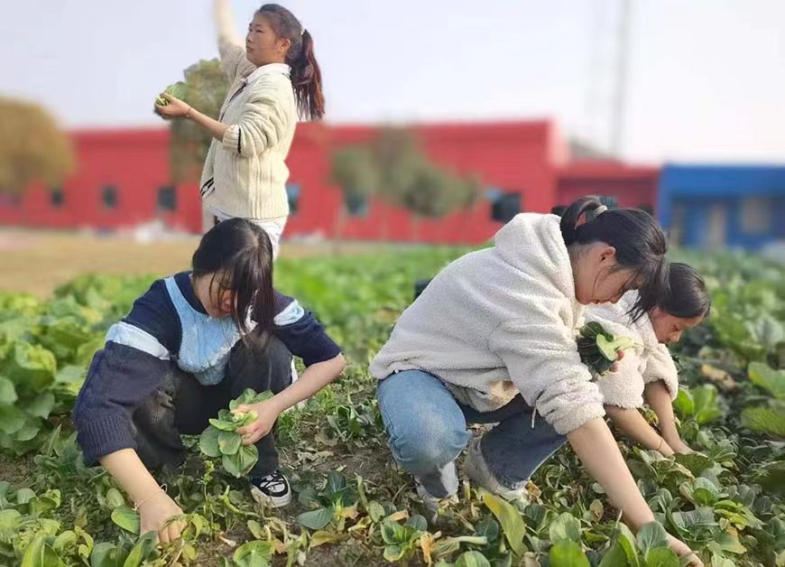 叛逆孩子军训学校