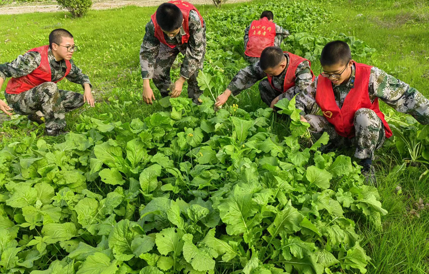 白城十佳厌学叛逆少年管教学校