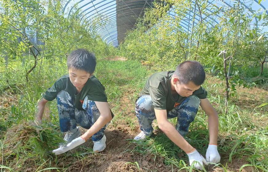 前10名戒网瘾学校特训