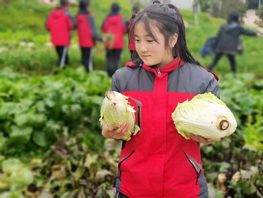 叛逆儿童矫正学校机构名录