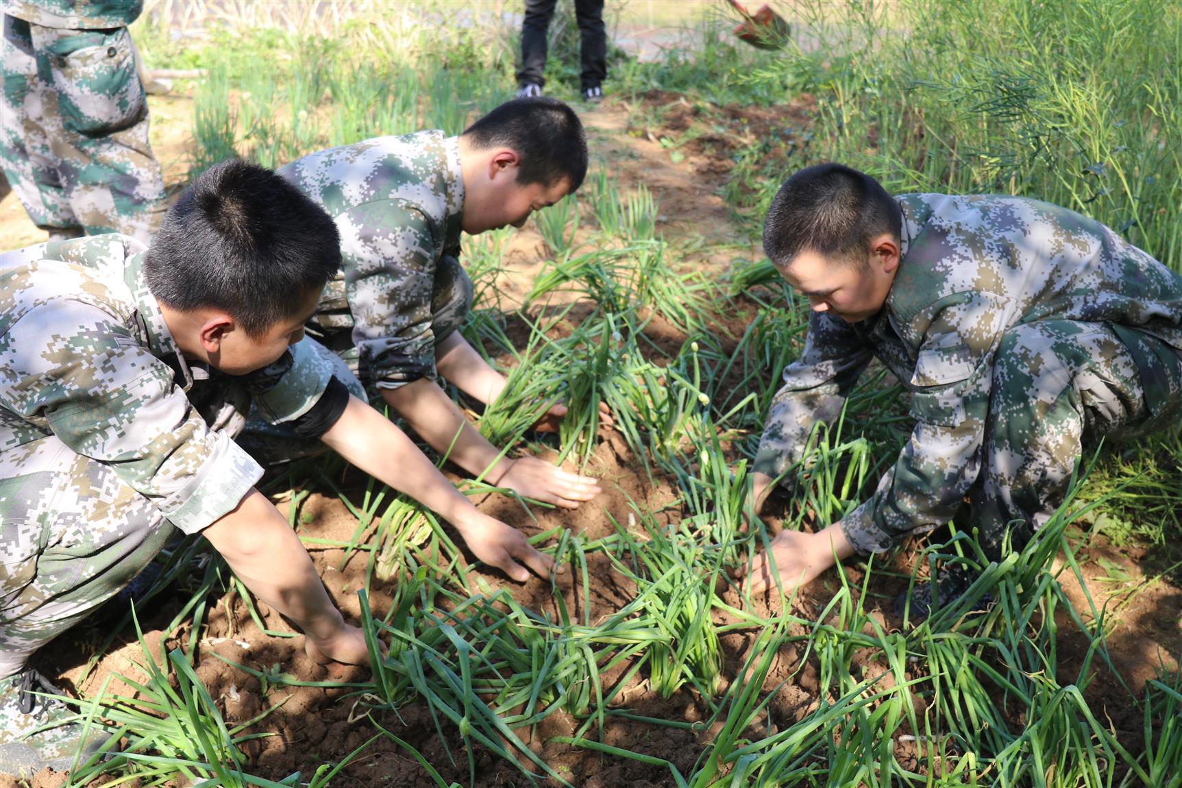 叛逆青少年封闭式学校怎么收费(图1)